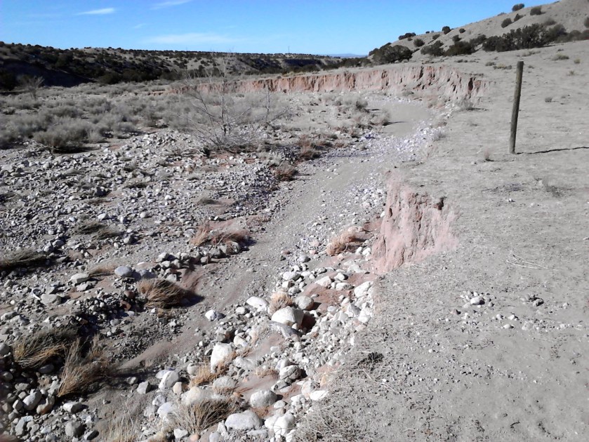 Did I actually expect to see water when the trail arrived at  Las Huertas creek?