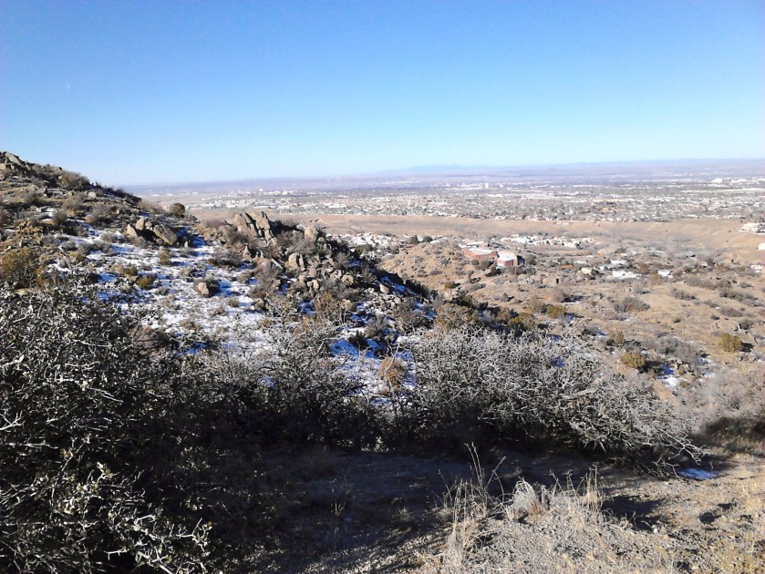 View to the west.  Mt. Taylor visible on the horizon.