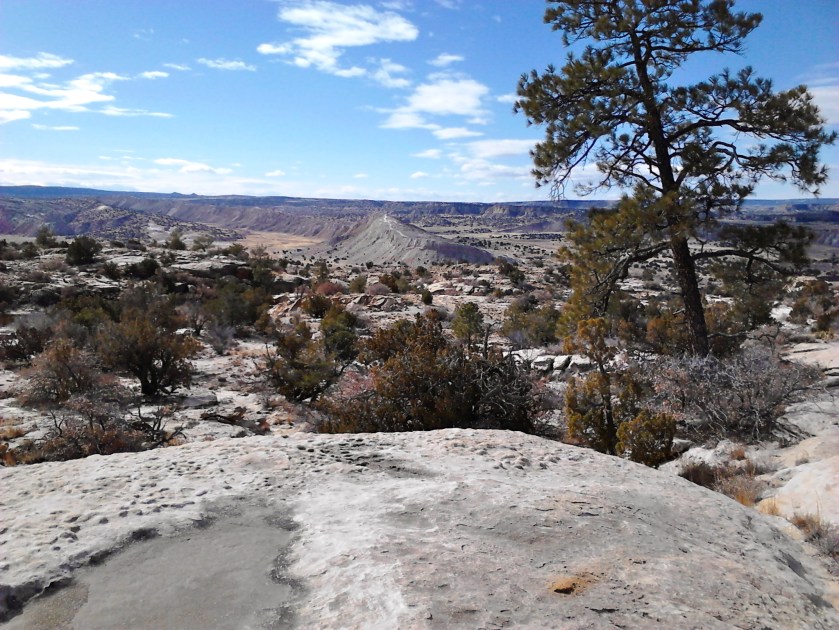 Across Hwy 550 looking southwest is another area we've hiked--a ridge visible in the distance is called Dragon's Back.