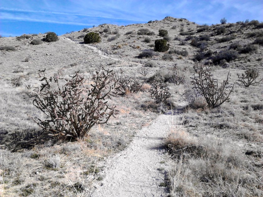 Start of the trail as it leaves parking area and heads into the Sandia foothills.