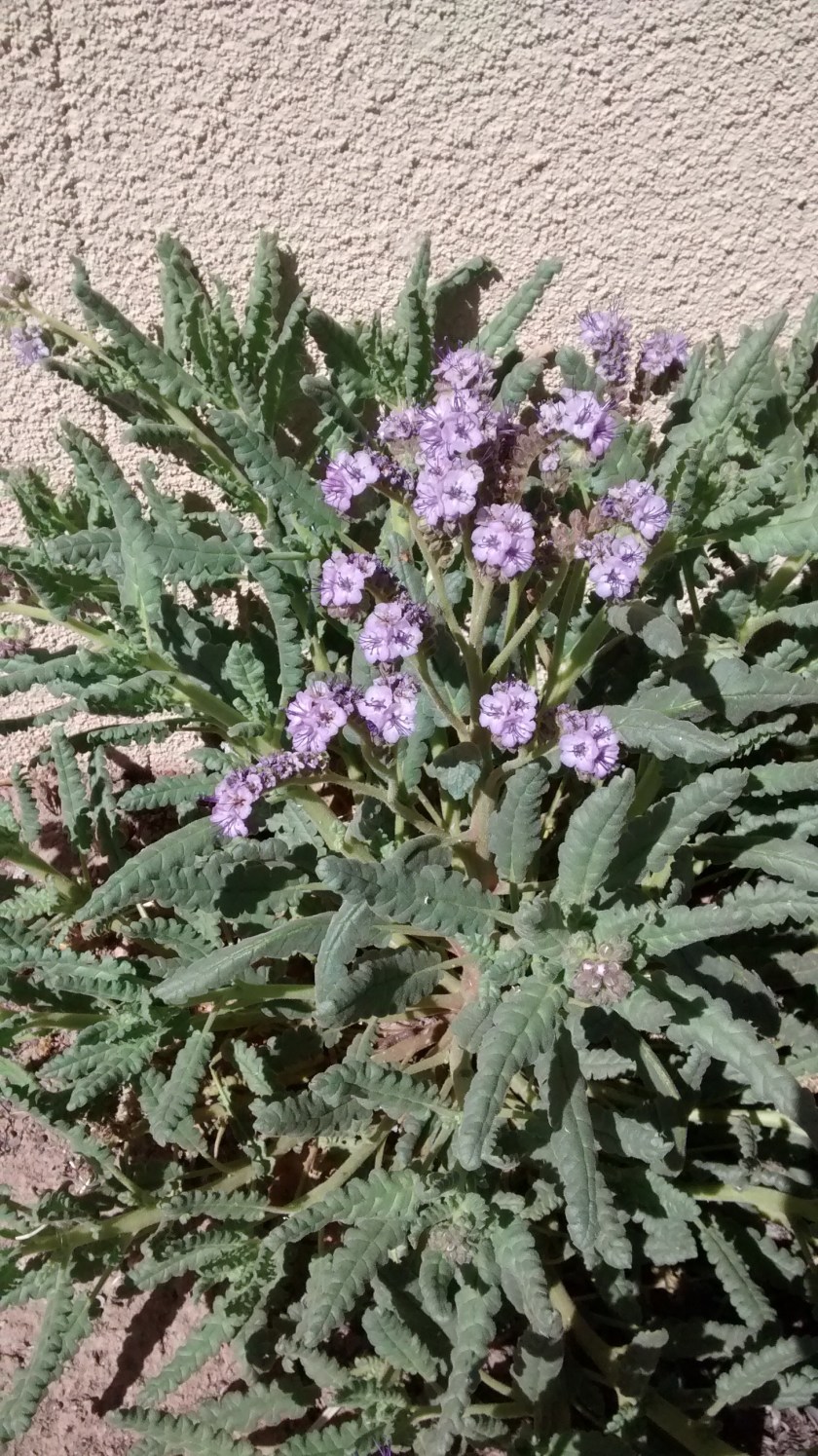 IMG_20140331_145502748