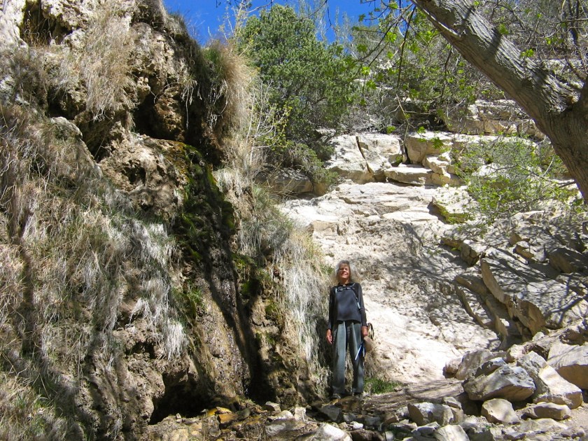 Travertine Falls is just a trickle of water.