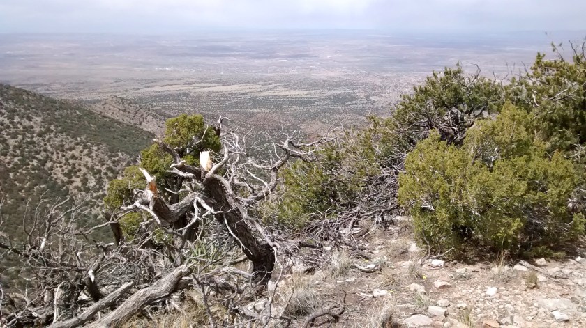 View from lunch spot.