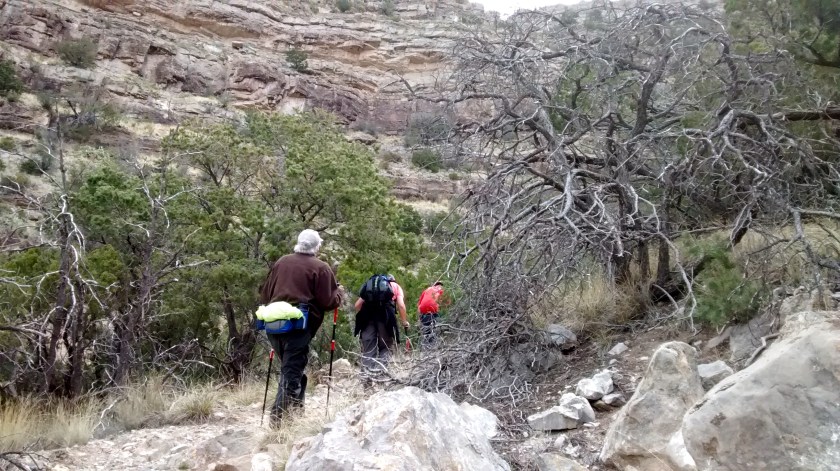 Heading upwards to meet the Crest Trail.