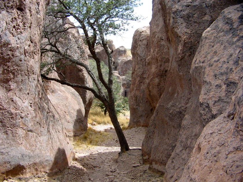 Street scene at City of Rocks.