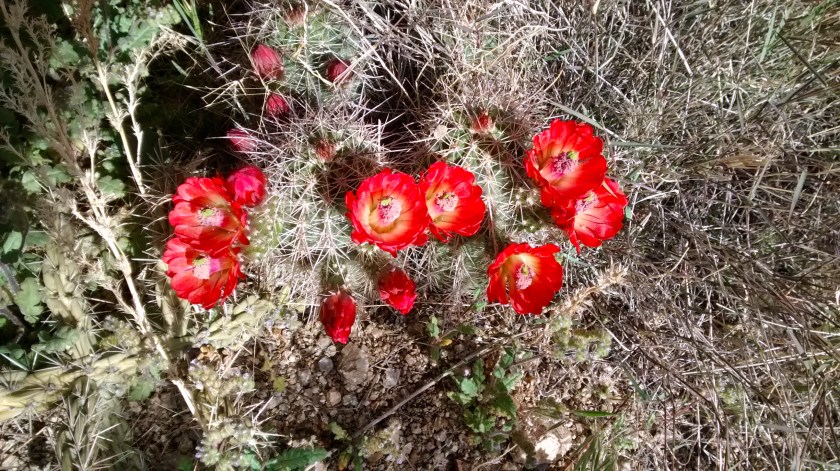 IMG_20140501_085657564