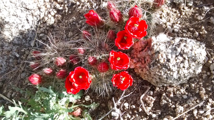 IMG_20140501_092457857