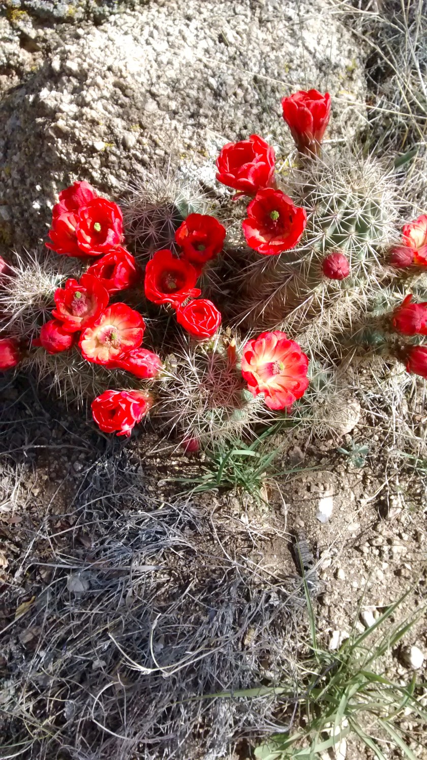 IMG_20140501_093353524