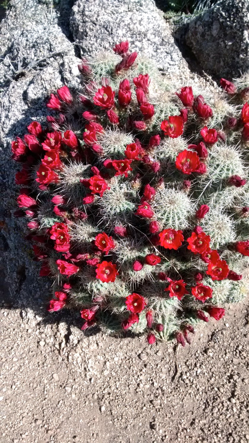 IMG_20140501_094756936