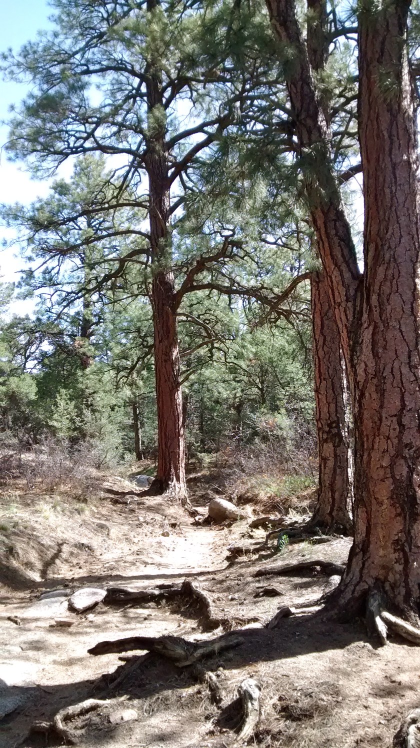 IMG_20140501_102613784