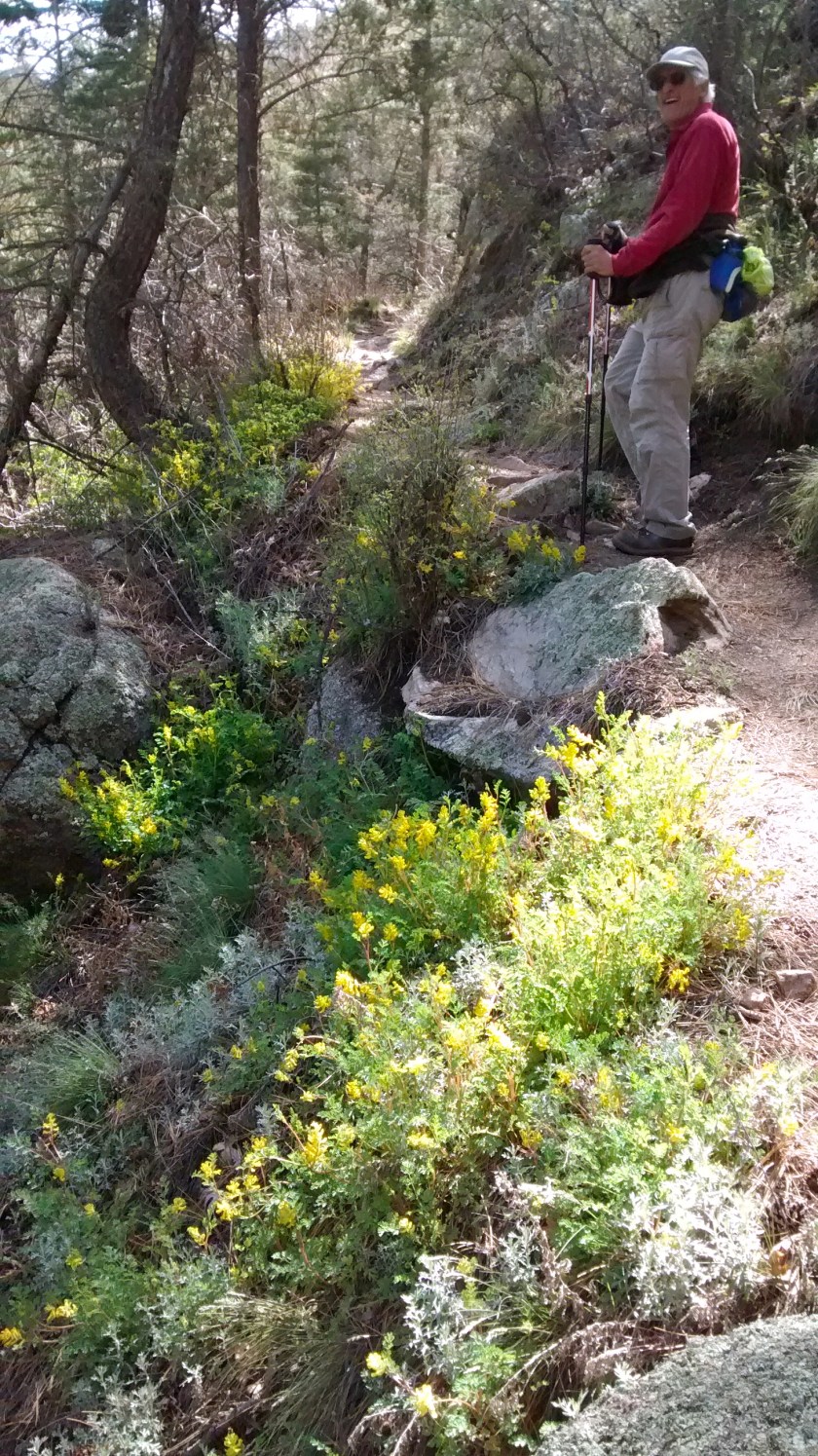 IMG_20140501_104551943