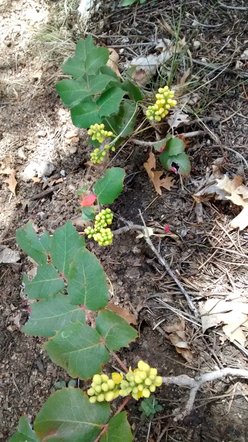 IMG_20140501_111114184