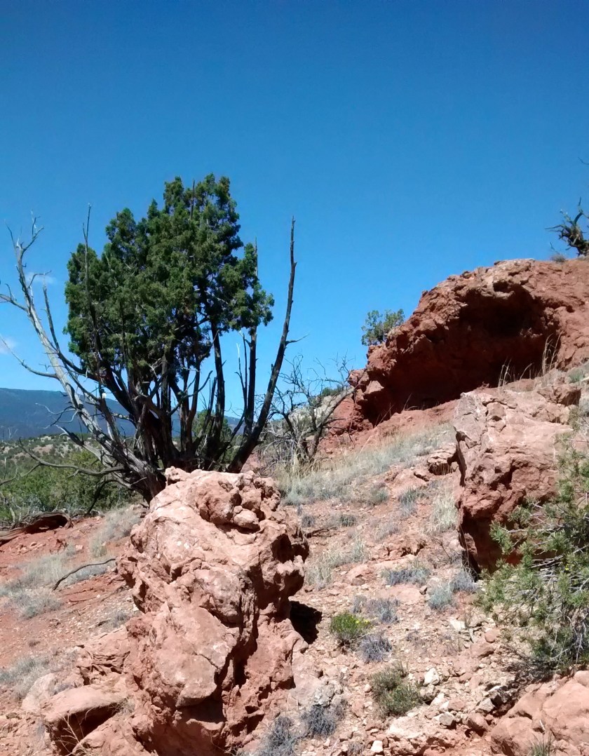 New Mexico blue skies!