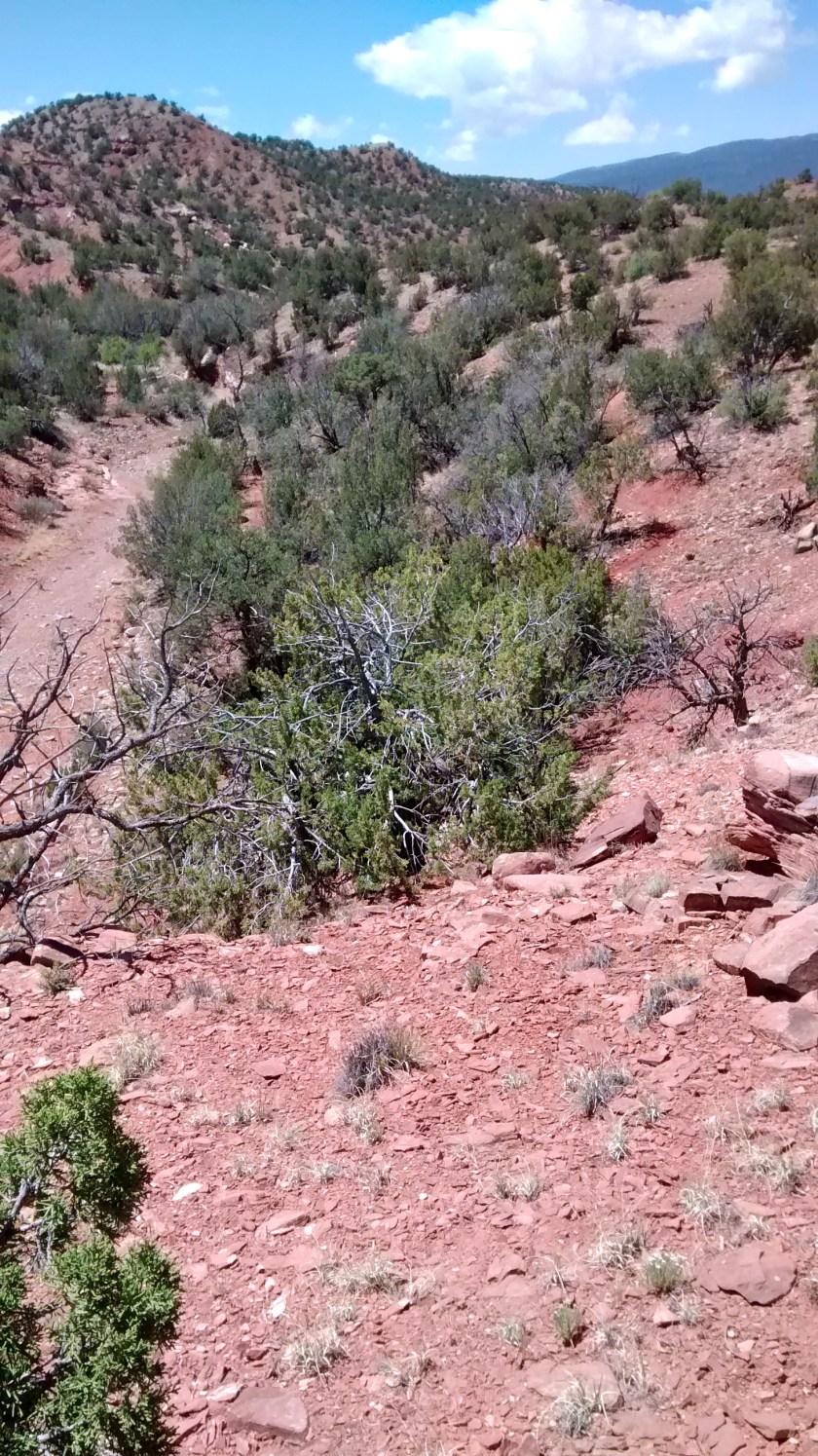 IMG_20140514_114235011