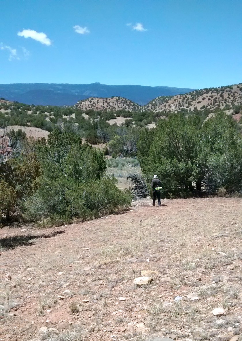 IMG_20140514_125908487