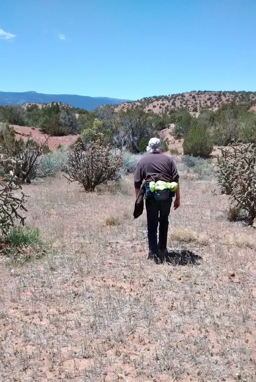 IMG_20140514_130011566