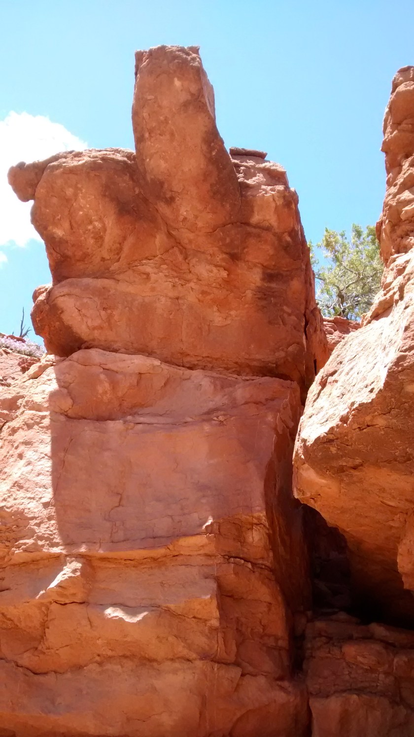 IMG_20140514_132008637