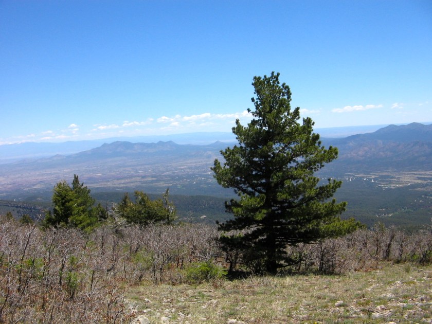 Yesterday's view from Sandia Crest, looking northeast.