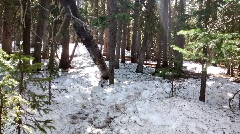 Start of some of the places where the snowbanks couldn't be avoided.