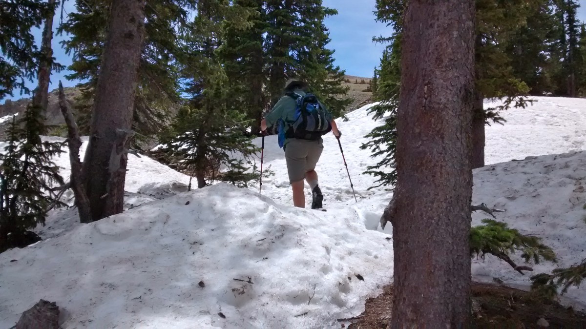 How to Beat the Desert&nbsp;Heat