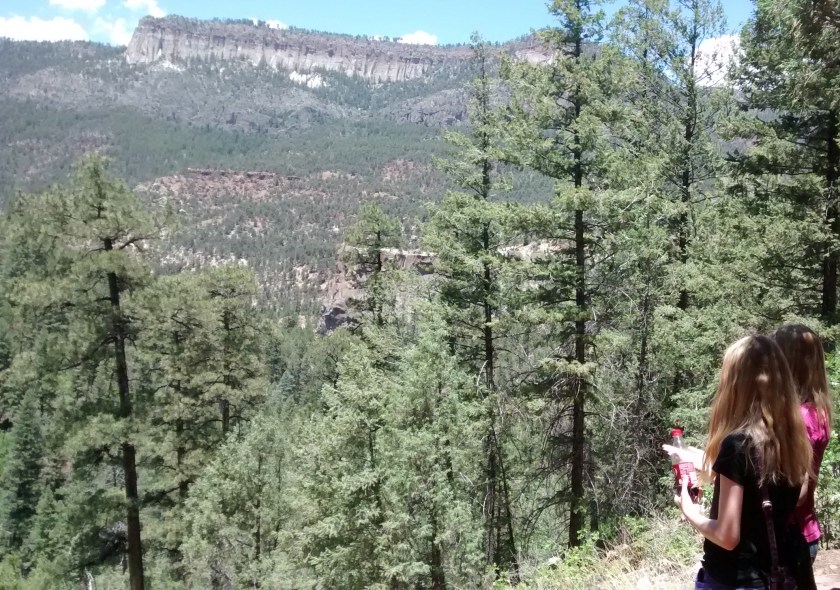 IMG_20140625_125951213