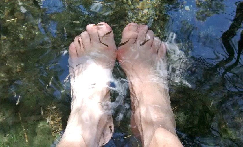 IMG_20140625_134641001