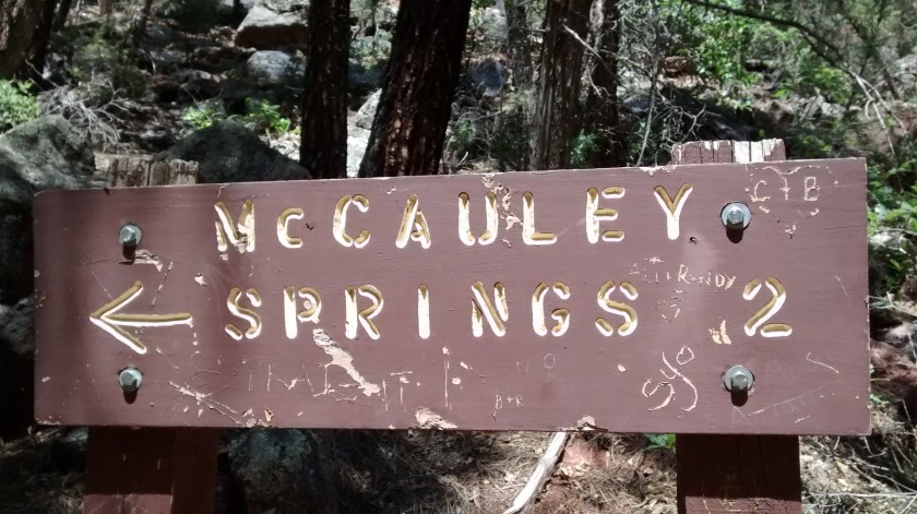 Our destination on the East Fork Trail.