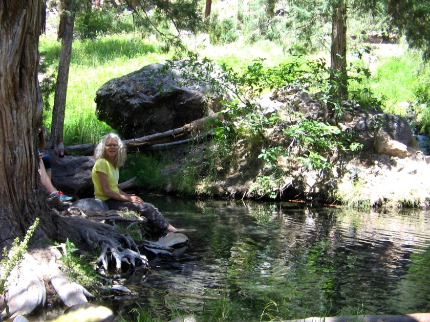 One of the pools at McCauley Warm Springs.