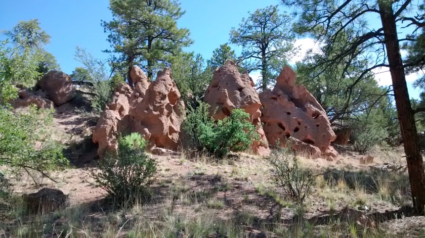 IMG_20140708_100138941