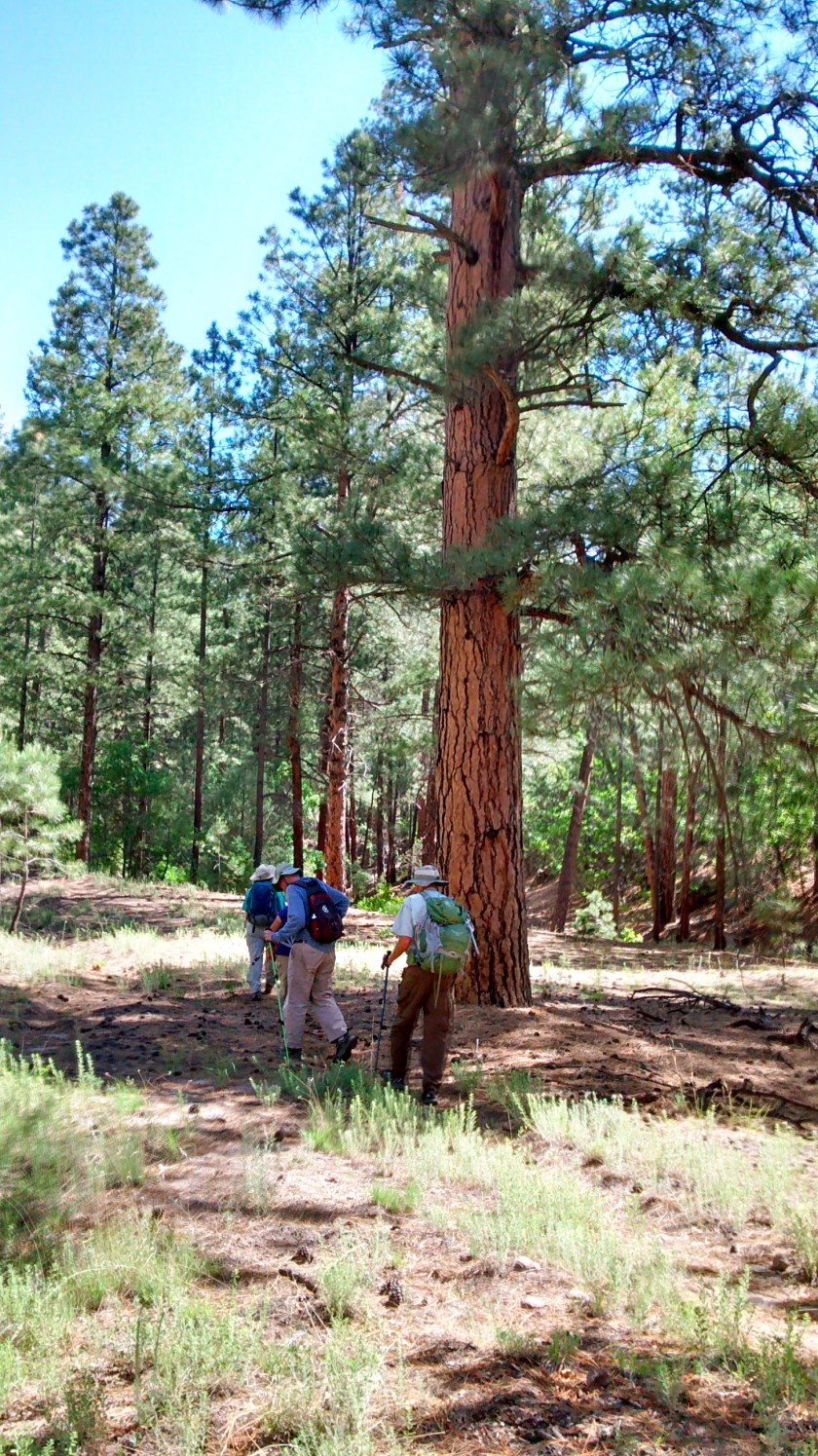 IMG_20140708_103710089_HDR