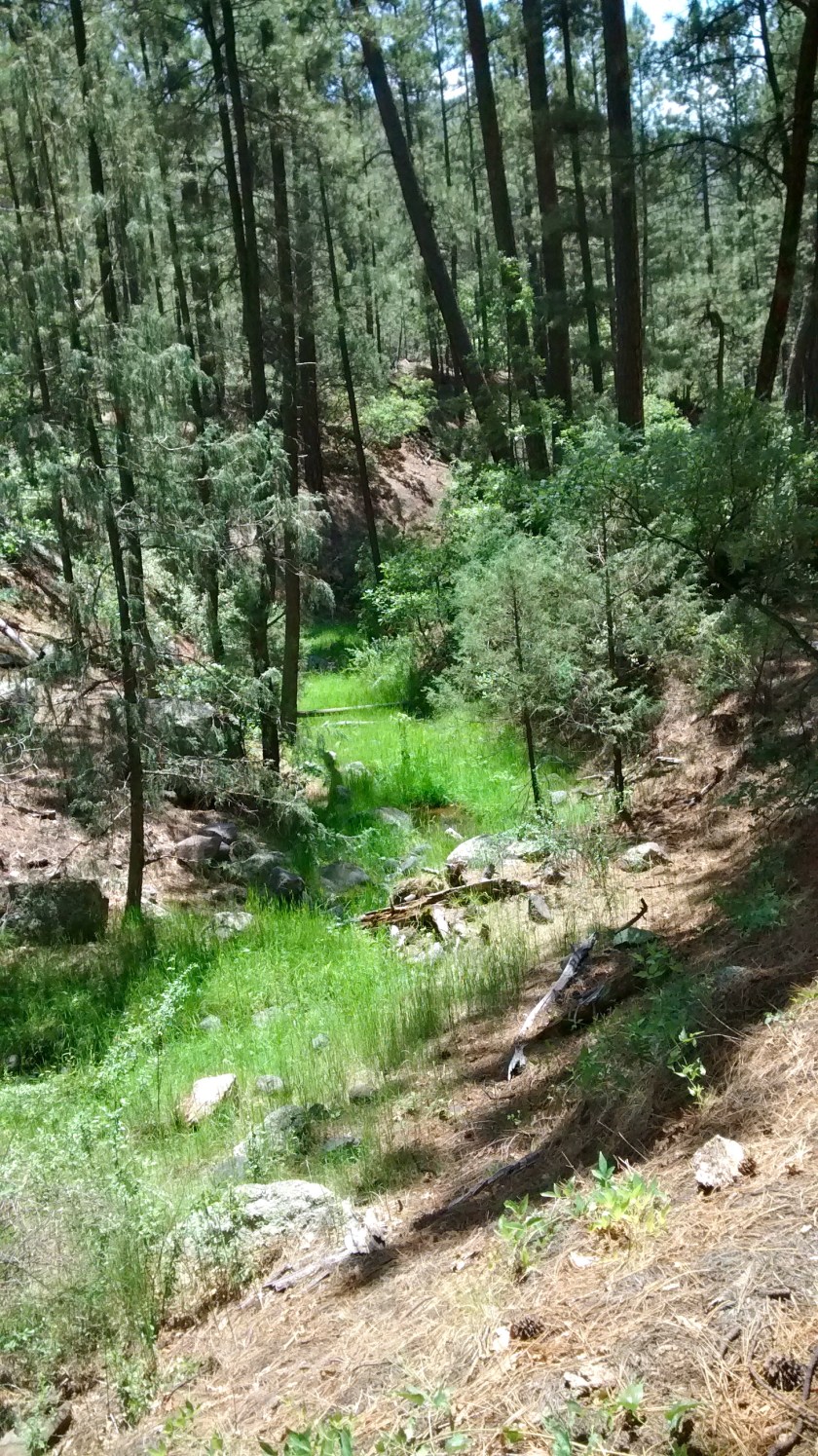 IMG_20140708_122222328