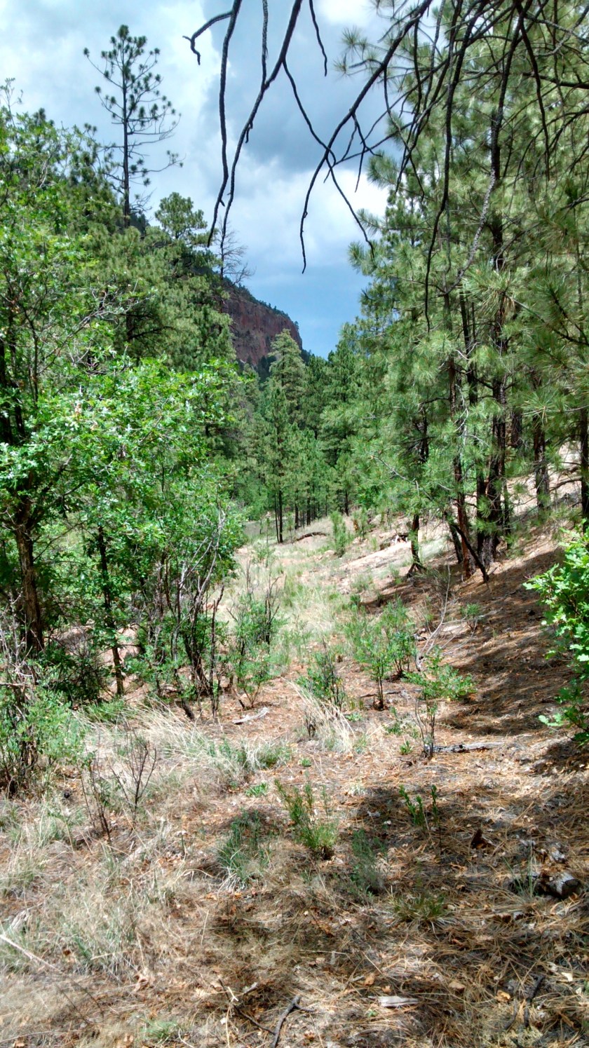 IMG_20140708_132349136_HDR