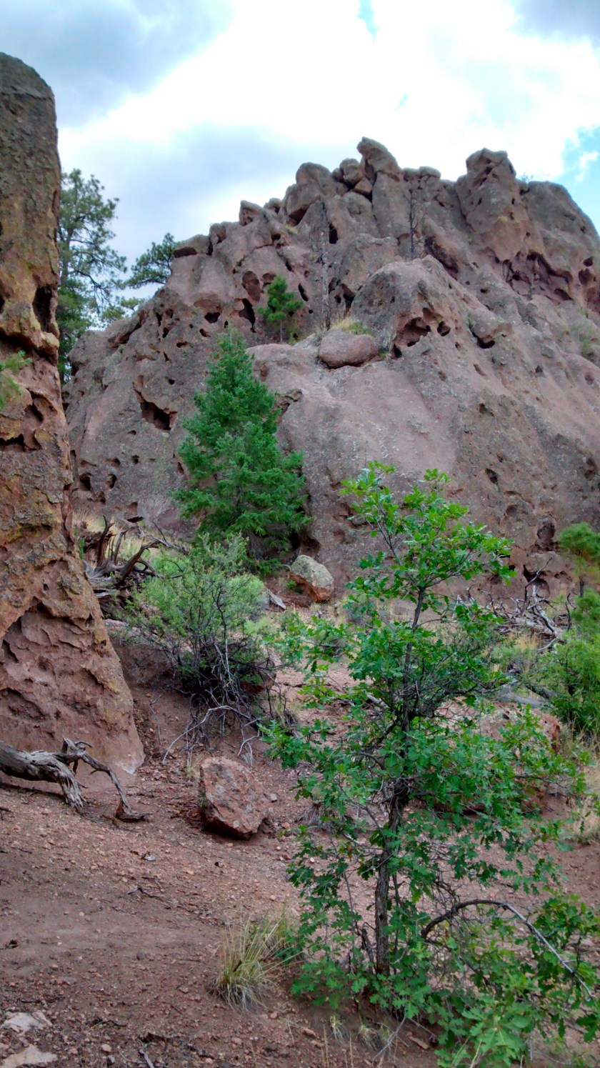 IMG_20140708_134726315_HDR