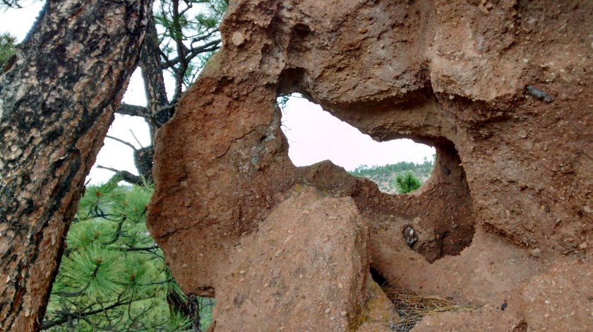 IMG_20140708_135012415_HDR