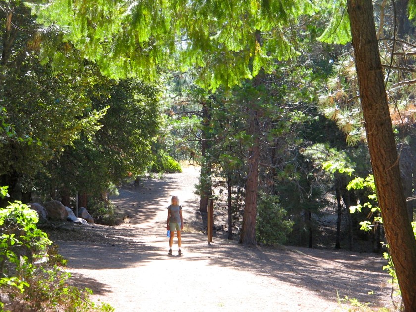 Walking the Lake Siskiyou Trail.