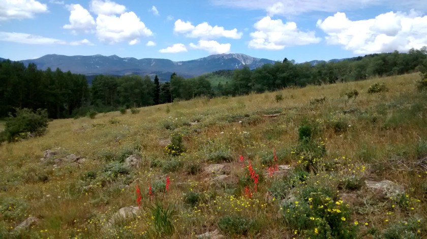View of Santa Fe Baldy to the southwest.
