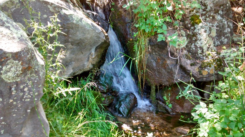 Little Arsenic Spring.