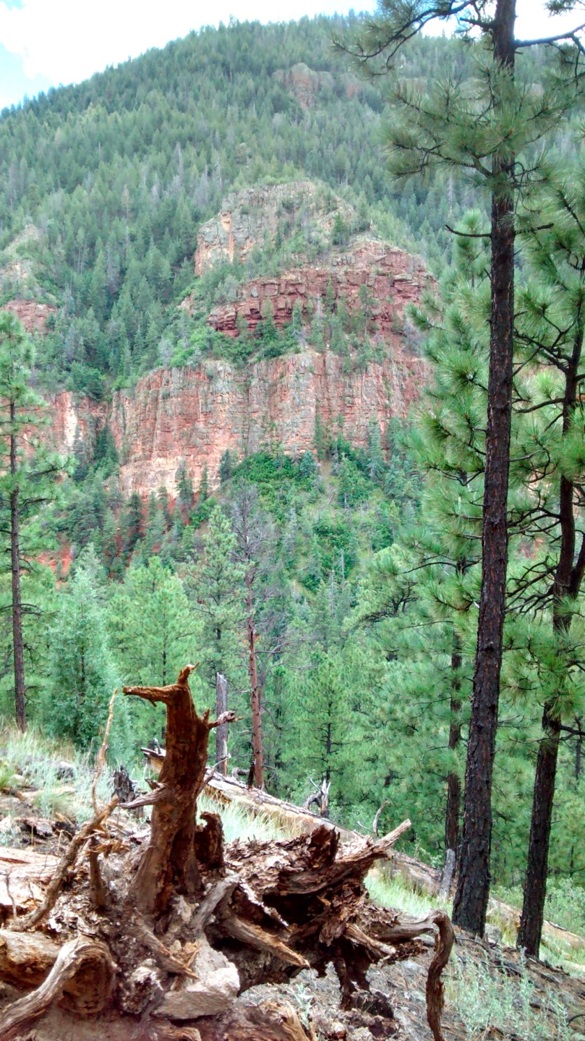 On the trail from Jemez Falls to the springs.