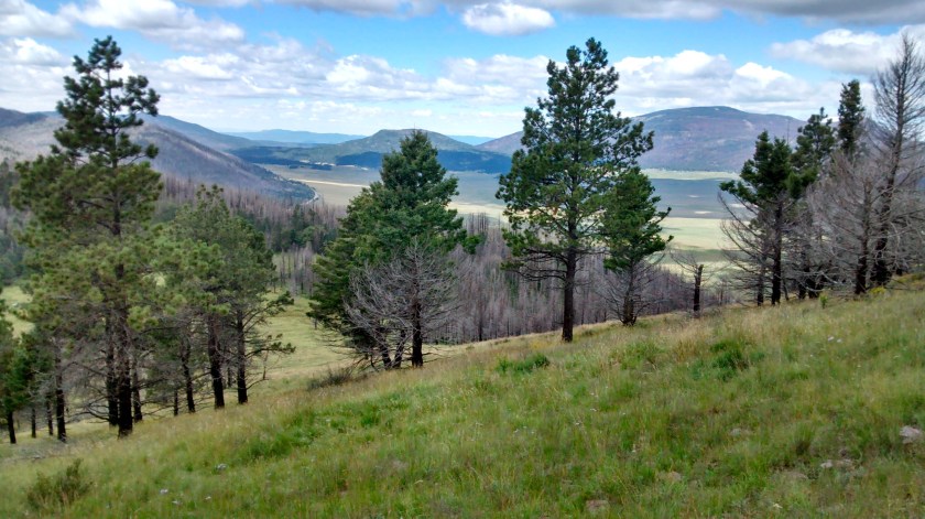 View east towards Los Alamos
