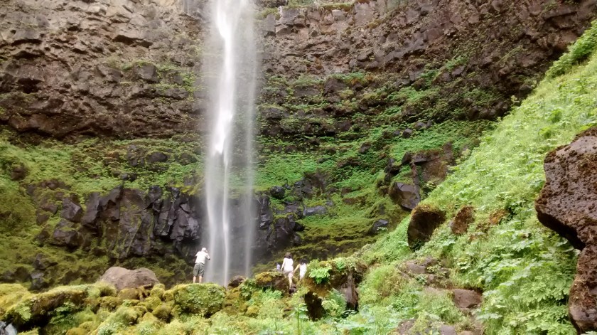 Lush vegetation at Watson Falls.
