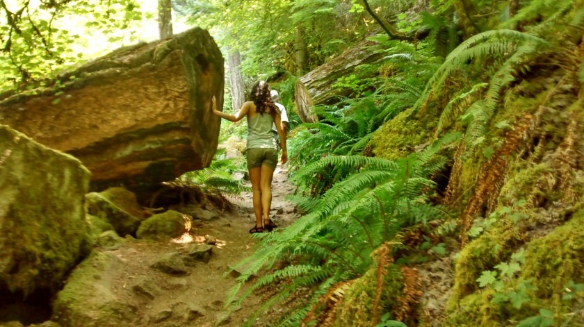 Nice stroll through woods on trail to Watson Falls.