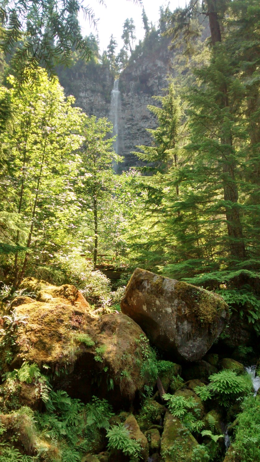 First view of Watson Falls.