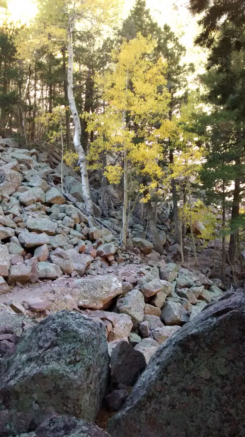 IMG_20140930_105011836