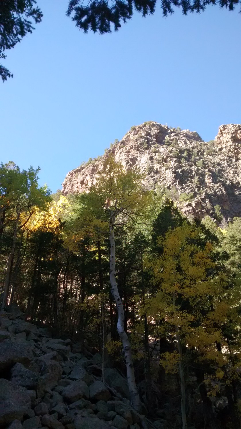 IMG_20140930_105101489