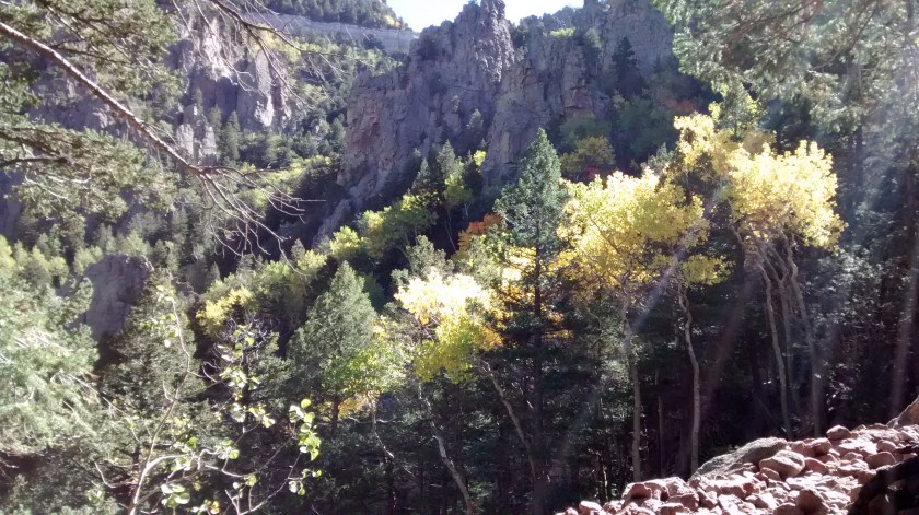 IMG_20140930_105548416