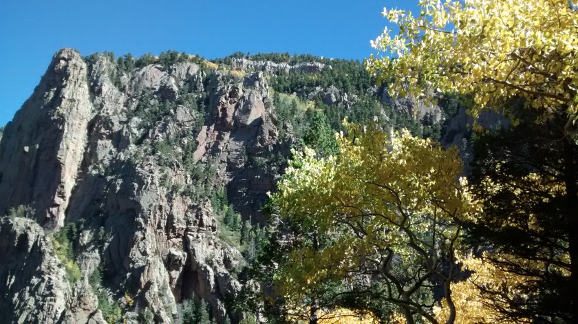 IMG_20140930_105641663