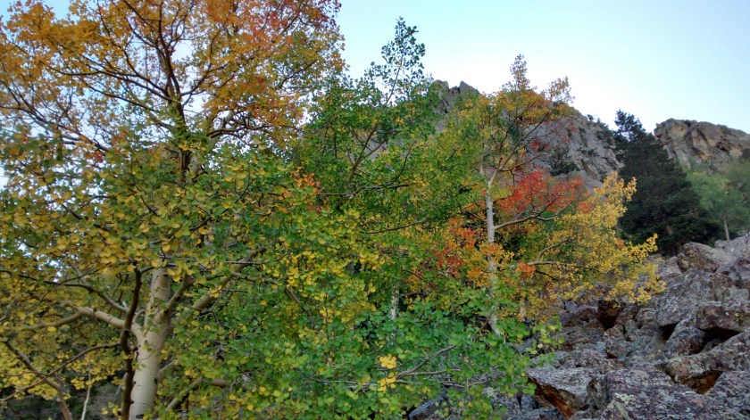 IMG_20140930_110006265_HDR