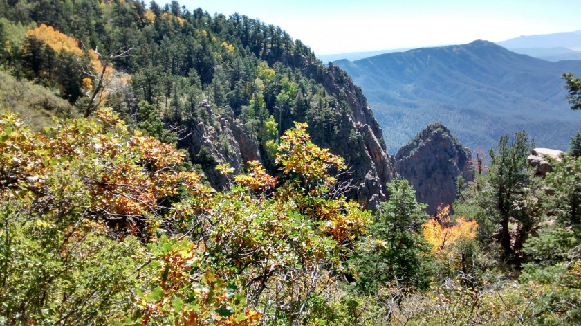 IMG_20140930_120451847_HDR