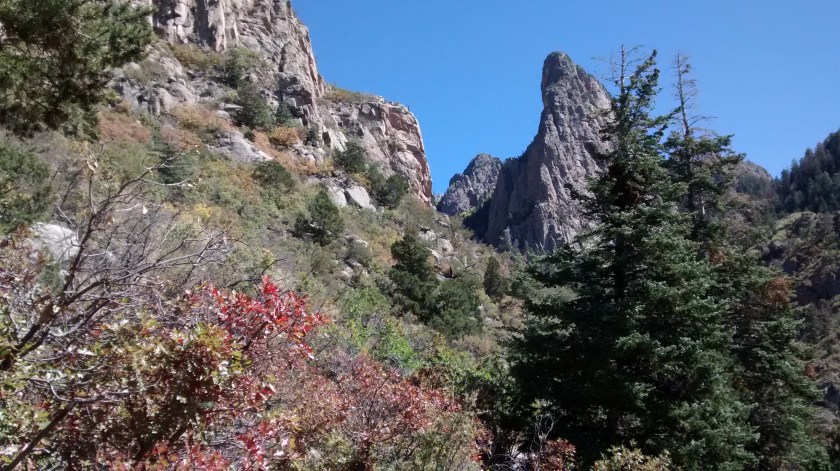 IMG_20140930_135112032