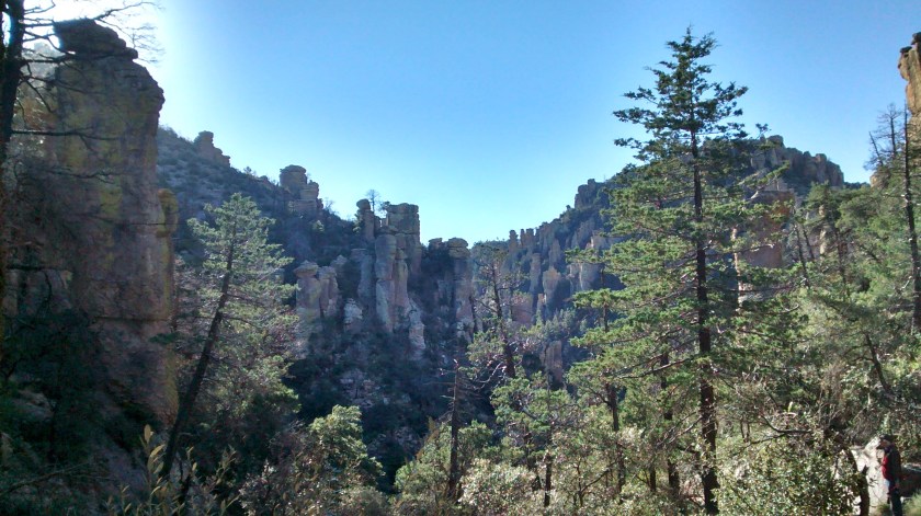 IMG_20141015_080251663_HDR